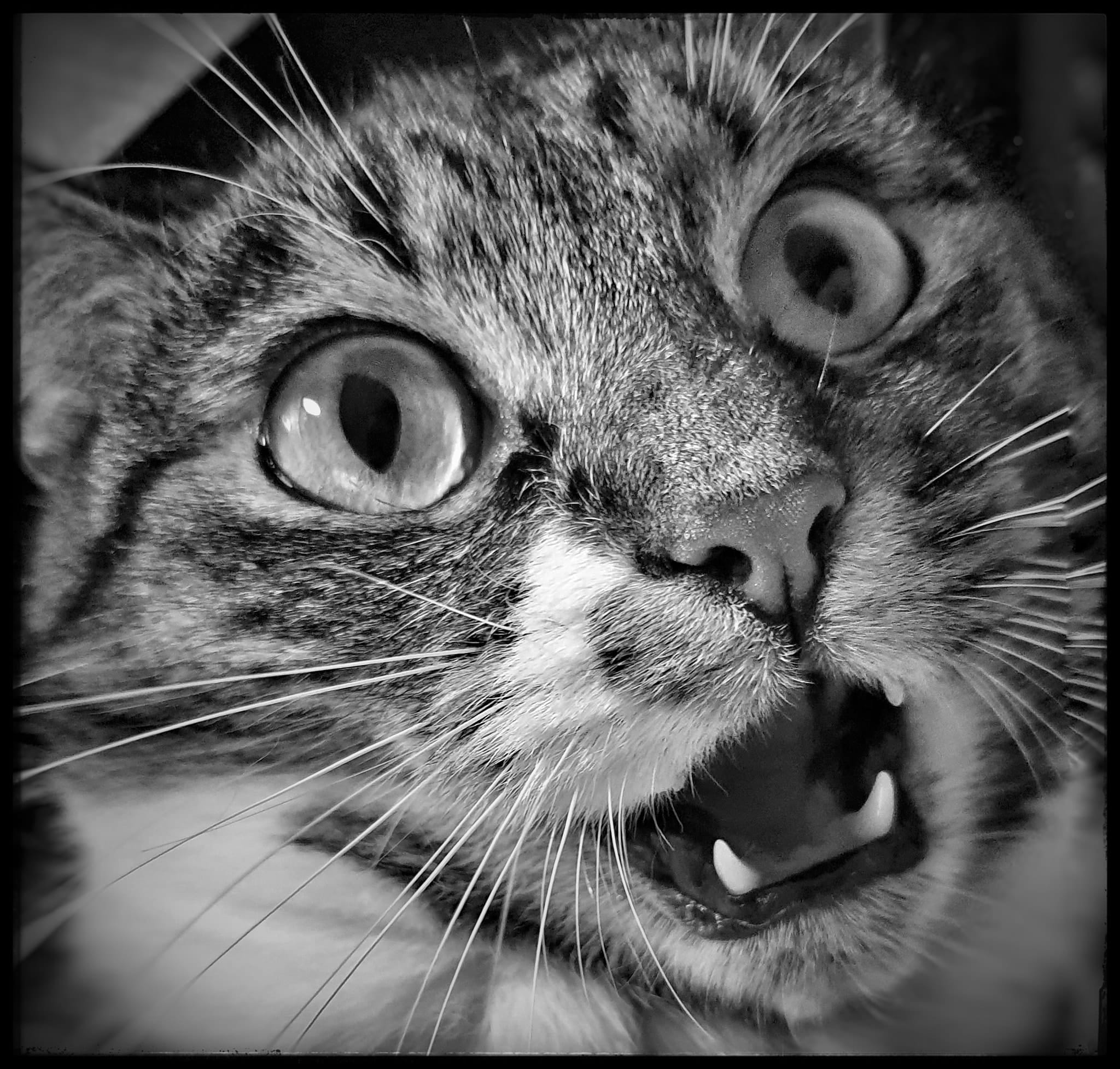 Featured image for “Brutalna prawda”