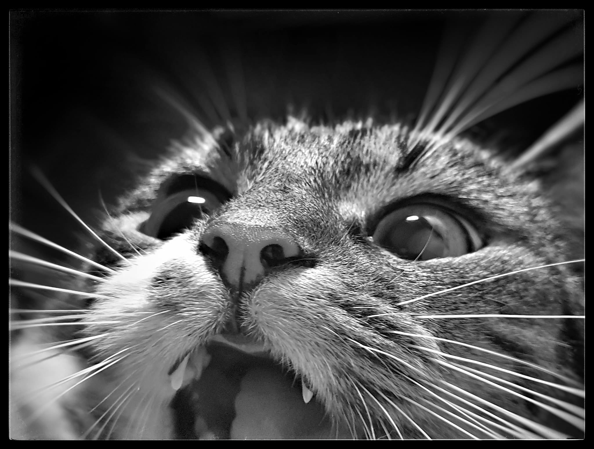 Featured image for “Ratunku!!!”