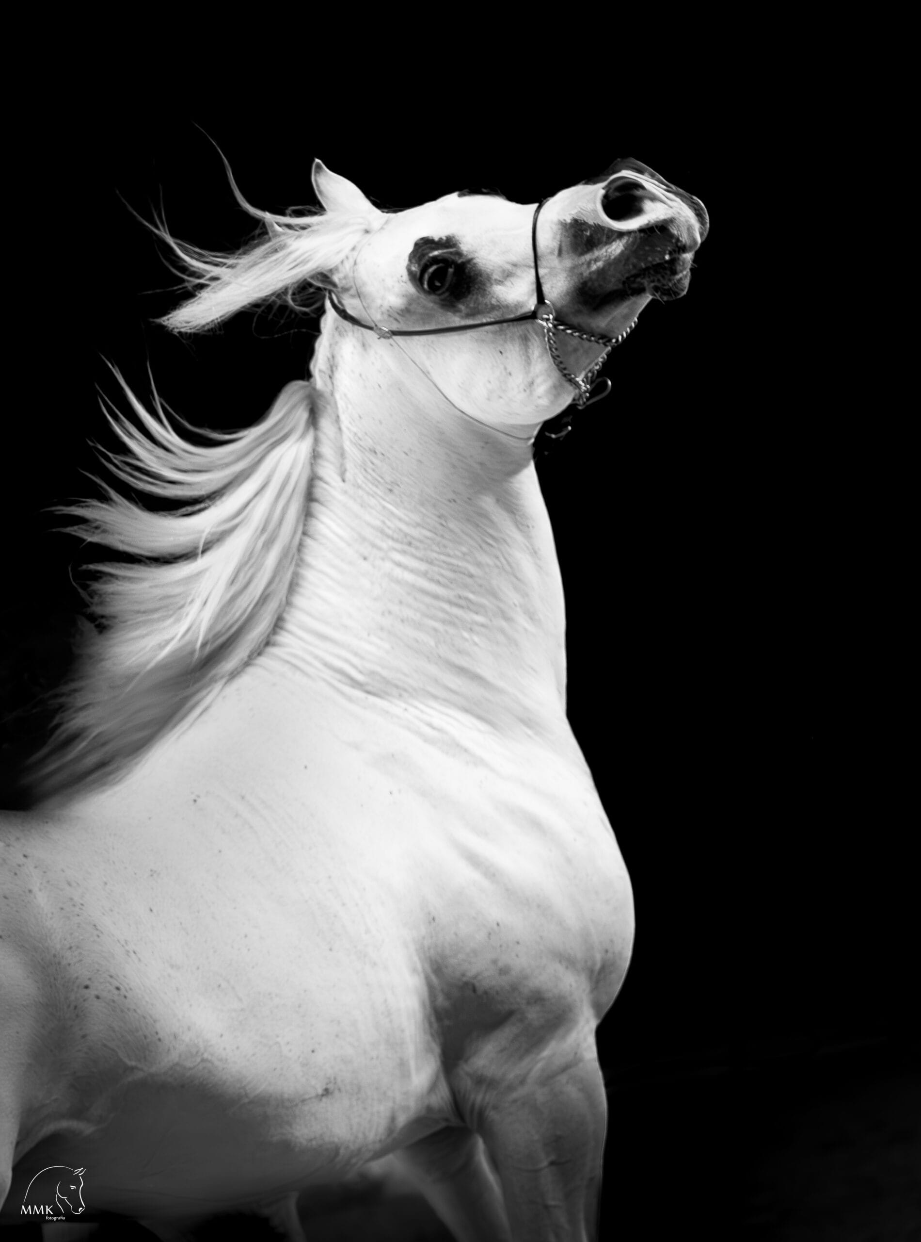 Featured image for “Niegrzeczny”